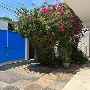 casa-nuria.tulum-hotels.net/